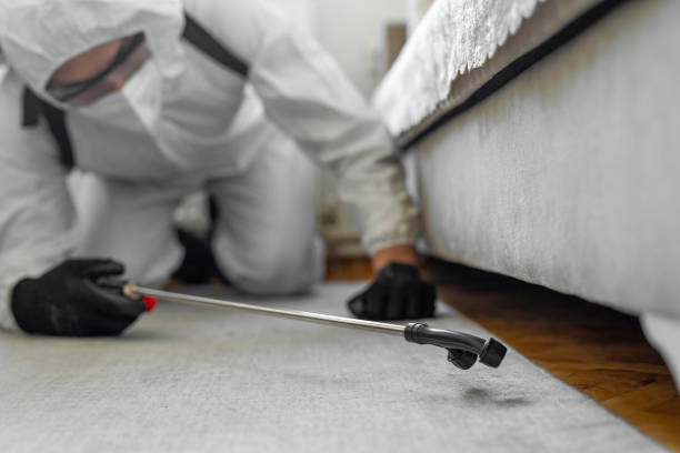 Professional Termite Control technician working in Fayette, OH