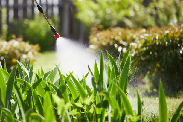 24/7 Emergency Termite Control experts in Fayette, OH